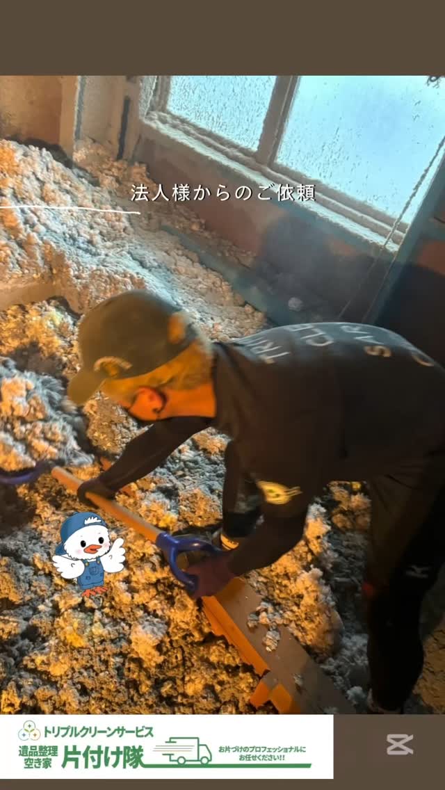法人様からのご依頼もお任せ下さい

こんにちは＾＾
宮城県全域、仙台、南東北などを中心に
お片付け,仕分け･不用品回収,遺品整理,買取
等を承っております🚛
トリプルクリーンサービスです️

.

廃業に伴う倉庫の残置物回収・お片付けと
倉庫屋根裏の朽ちた断熱材などの搬出のご依頼でした

.

経年劣化や保管状態の悪化により
ボロボロに砕けて粉塵が舞うような状態になった
倉庫屋根裏の断熱材。

屋根裏なので足場も悪く、
資材が朽ちた粉塵も立ち込めていて
一般の人が自分達で片付けるのはちょっと危険...️

.
このようなお片付けのお困りごとなら
株式会社トリプルクリーンサービスにお任せ下さい️

.
運び出しから処分まで、
全て当社スタッフが責任を持って承ります

.

当社ではベテランスタッフから若手スタッフまで
幅広い年齢層のスタッフが在籍！
それぞれの持つ豊富な知識と力を合わせて
お片付け作業をさせていただきます

.

ご高齢のお一人暮らしで大掃除が困難、
清掃が苦手、
処分の仕方が分からず困っている物が家にある‥
など、なんでもご相談下さい‍♀️

■-□-■-□-■-□-■-□-■-□-■-□-■-□-■-□-■-□

不用品・ゴミの処分
お片付け
🧤ハウスクリーニング
部屋の整理
🌲庭木伐採・庭石撤去
生前整理
遺品整理
などなど…

有資格スタッフが在籍している当社が、お客様のご要望に応じたご提案をさせていただきます。

まずはどれくらいかかるのか、見積もりだけでもOK️

■-□-■-□-■-□-■-□-■-□-■-□-■-□-■-□-■-□ 

大変ありがたいことに、多くのお問い合わせをいただいておりますˊᵕˋ
お急ぎの方は是非お早めのご予約をオススメ致します

■□─━─━─━─━─━─━─━─━─━─━□■

️株式会社トリプルクリーンサービス🚛
TEL:0120-210-121
　
トリプルクリーンサービスの公式アプリまたは
ホームページのメールフォームからのお問い合わせも可能です️

■□─━─━─━─━─━─━─━─━─━─━□■
